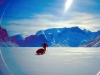 08-eglington_sled.jpg
