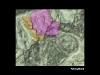 slide12.jpg