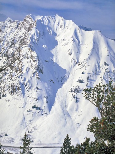 The South Face of Mt. Superior.  It would be sacrelige and redunant to put a red route indicating line on this beauty.  Start at the pointy part and ski it to the bottom.  Note the cars on the road below for scale.