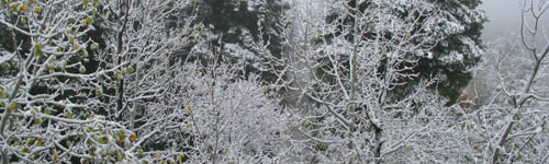 snow_oct30