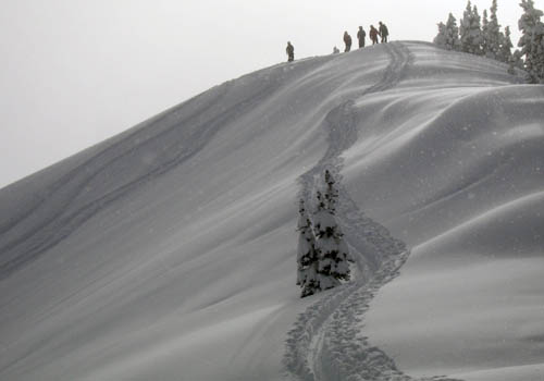 Choosing Climbing Skins