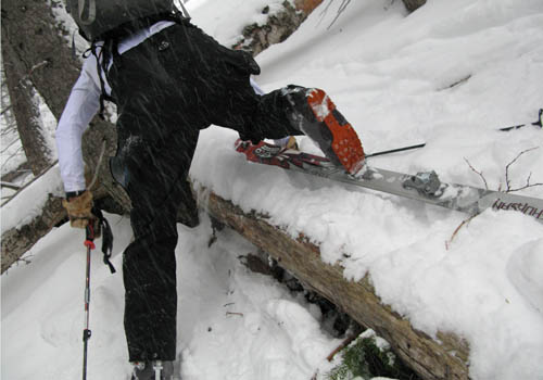 Skinning Over Timber