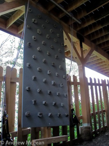 50 Hold Climbing Wall