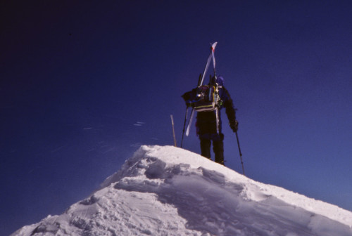 denali_summit